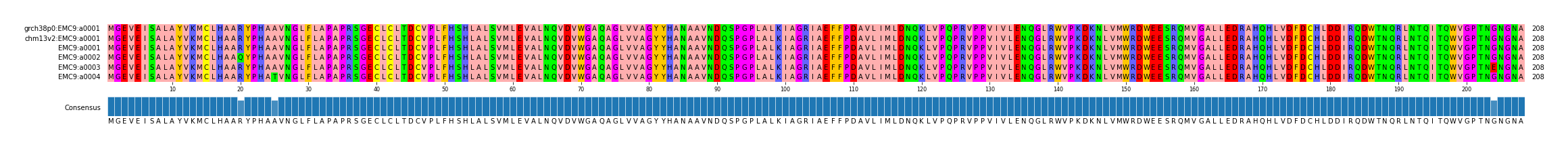 Multiple Alignments (by translate haplotype frequency)
