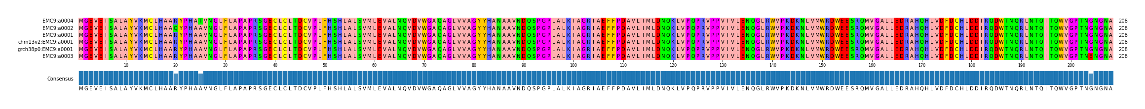 Multiple Alignments (by translate haplotype similarity)