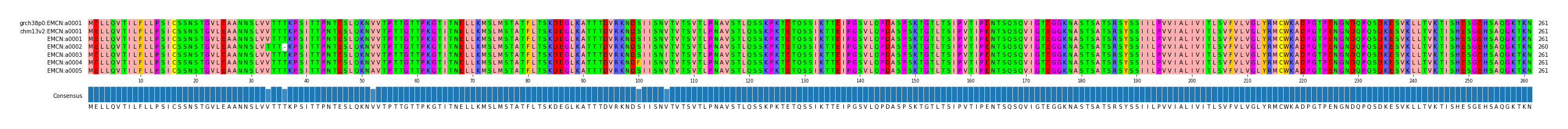 Multiple Alignments (by translate haplotype frequency)