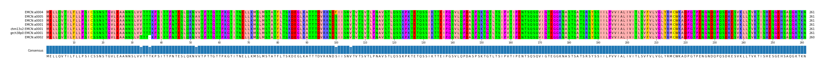Multiple Alignments (by translate haplotype similarity)