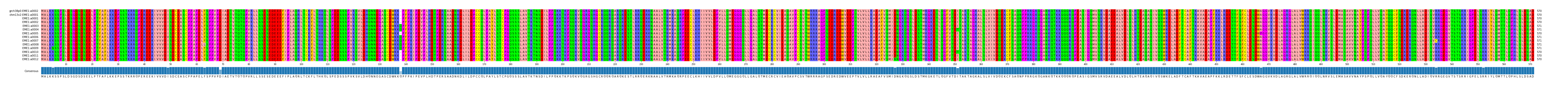 Multiple Alignments (by translate haplotype frequency)