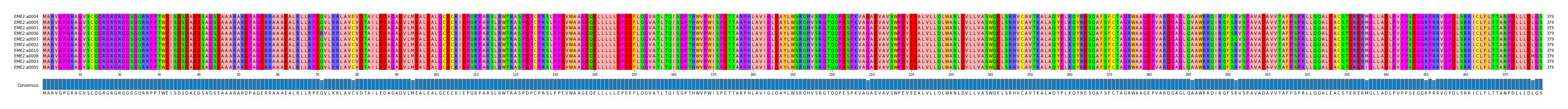 Multiple Alignments (by translate haplotype similarity)