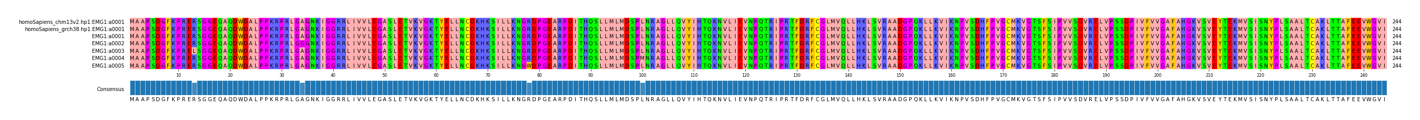 Multiple Alignments (by translate haplotype frequency)