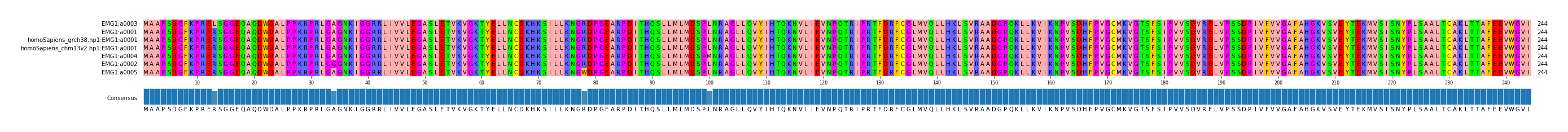 Multiple Alignments (by translate haplotype similarity)