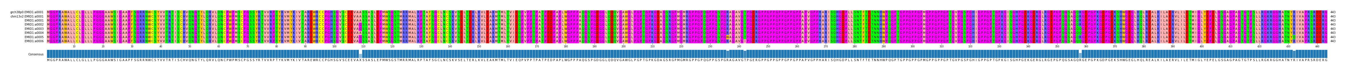 Multiple Alignments (by translate haplotype frequency)
