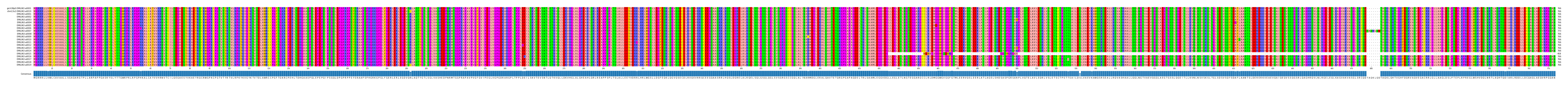 Multiple Alignments (by translate haplotype frequency)
