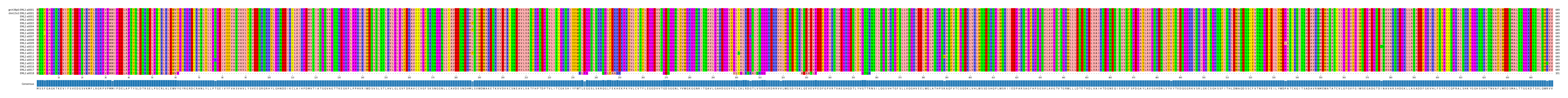 Multiple Alignments (by translate haplotype frequency)