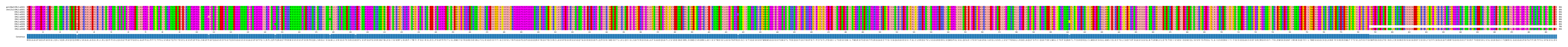 Multiple Alignments (by translate haplotype frequency)