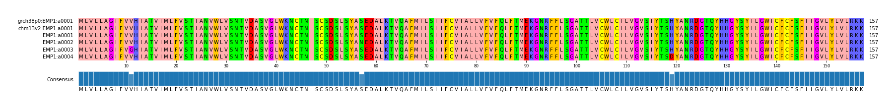 Multiple Alignments (by translate haplotype frequency)
