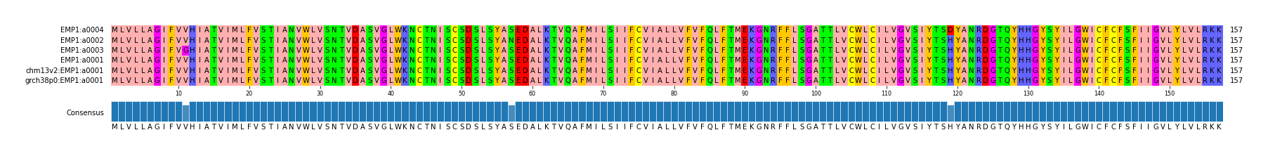Multiple Alignments (by translate haplotype similarity)