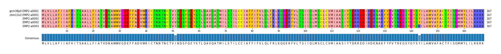 Multiple Alignments (by translate haplotype frequency)