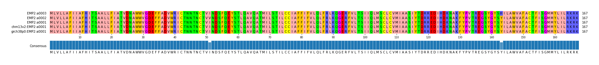 Multiple Alignments (by translate haplotype similarity)