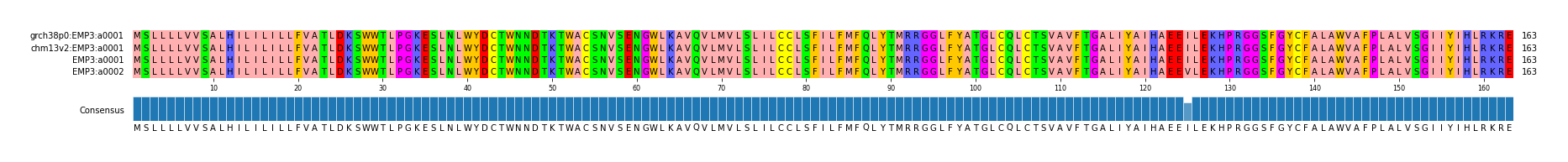 Multiple Alignments (by translate haplotype similarity)