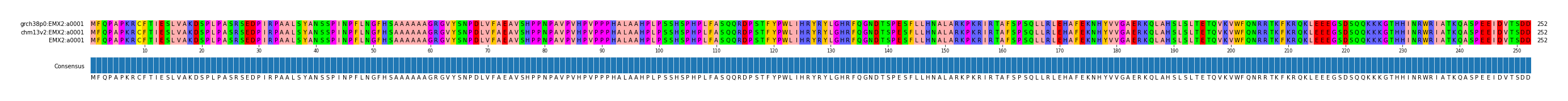 Multiple Alignments (by translate haplotype frequency)