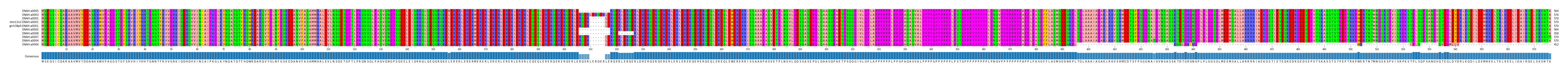 Multiple Alignments (by translate haplotype similarity)