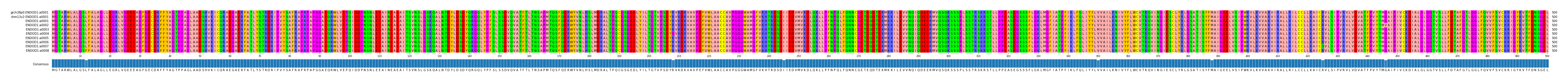 Multiple Alignments (by translate haplotype frequency)