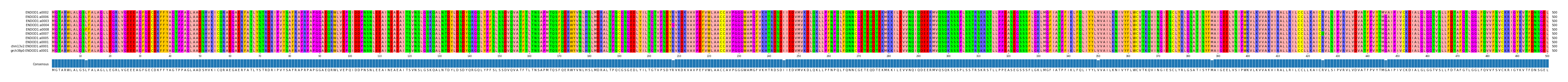 Multiple Alignments (by translate haplotype similarity)