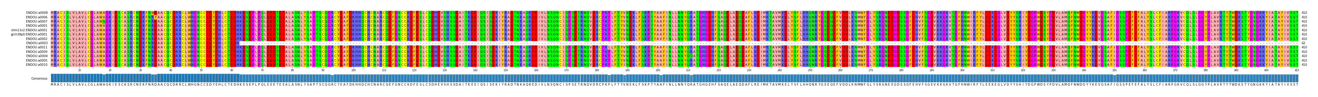 Multiple Alignments (by translate haplotype similarity)