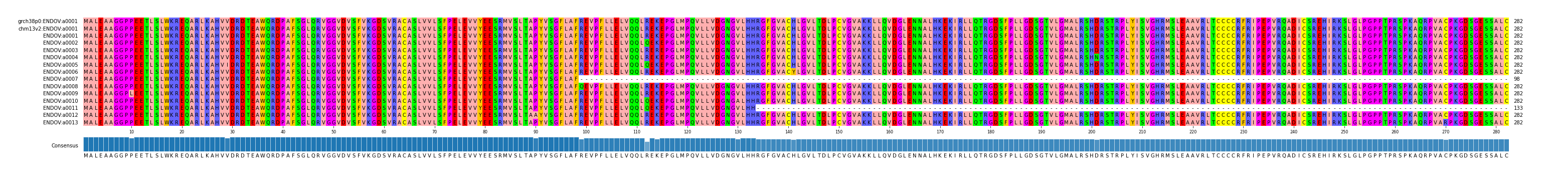Multiple Alignments (by translate haplotype frequency)