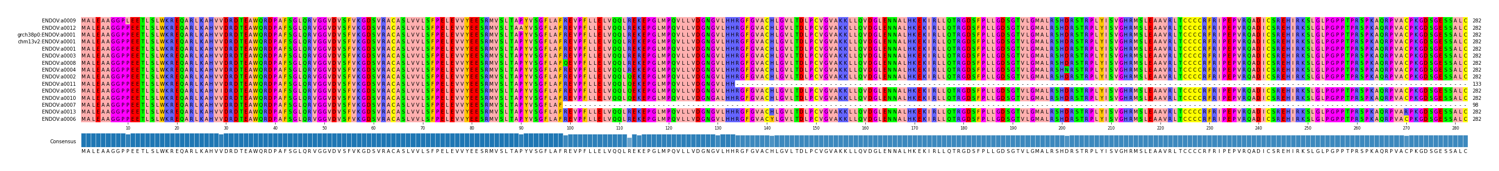 Multiple Alignments (by translate haplotype similarity)