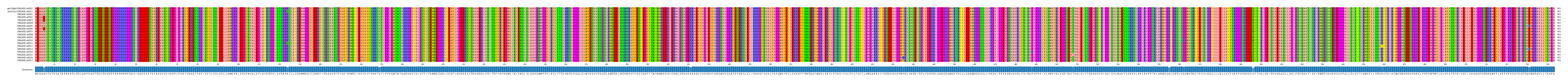 Multiple Alignments (by translate haplotype frequency)