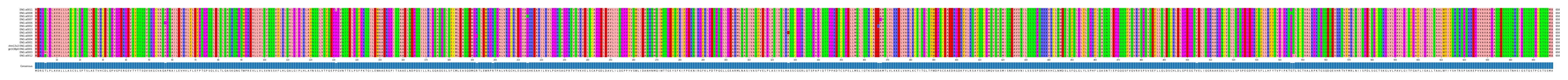 Multiple Alignments (by translate haplotype similarity)