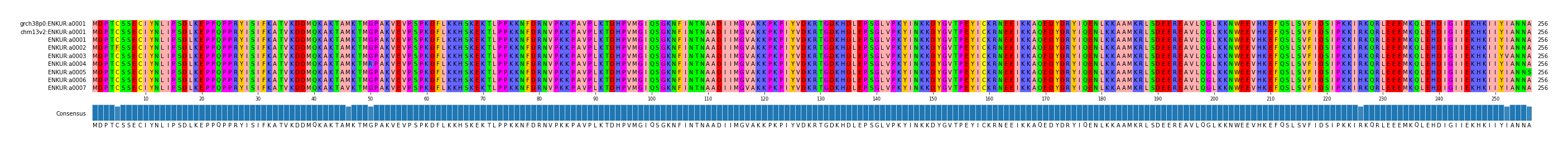 Multiple Alignments (by translate haplotype frequency)