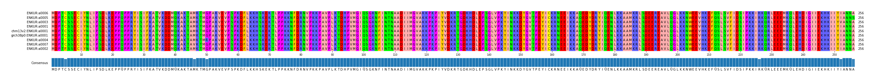 Multiple Alignments (by translate haplotype similarity)