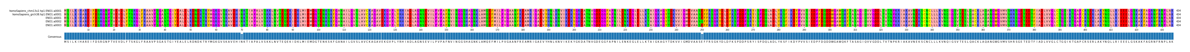 Multiple Alignments (by translate haplotype frequency)