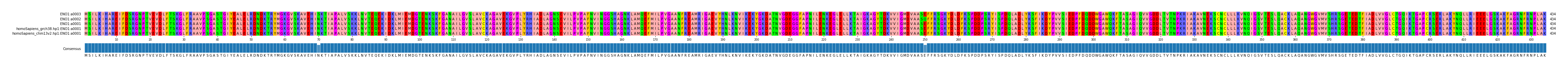 Multiple Alignments (by translate haplotype similarity)