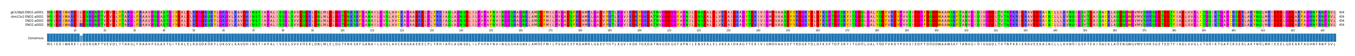 Multiple Alignments (by translate haplotype similarity)