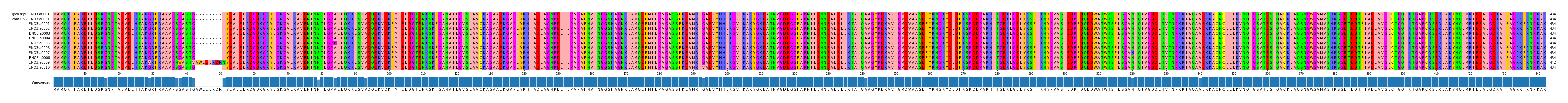 Multiple Alignments (by translate haplotype frequency)