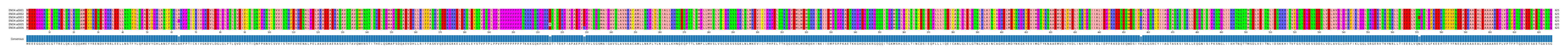 Multiple Alignments (by translate haplotype frequency)