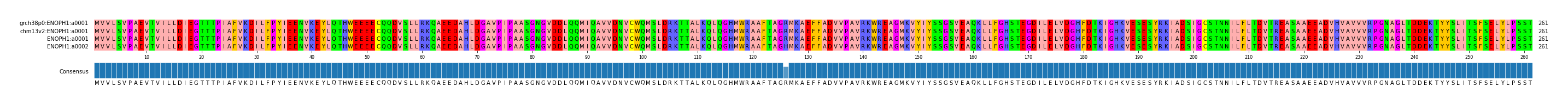 Multiple Alignments (by translate haplotype similarity)