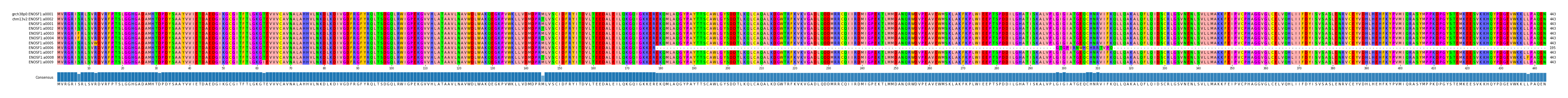 Multiple Alignments (by translate haplotype frequency)