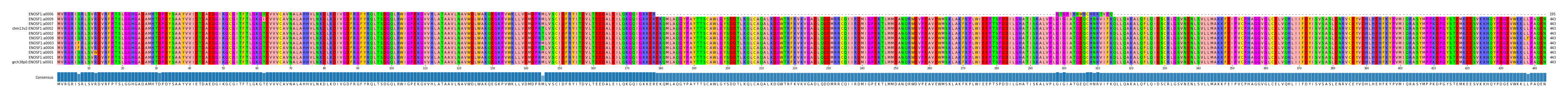 Multiple Alignments (by translate haplotype similarity)