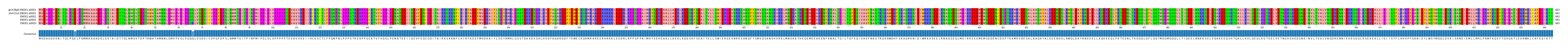 Multiple Alignments (by translate haplotype frequency)