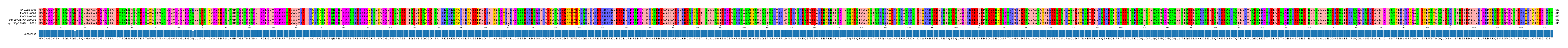 Multiple Alignments (by translate haplotype similarity)