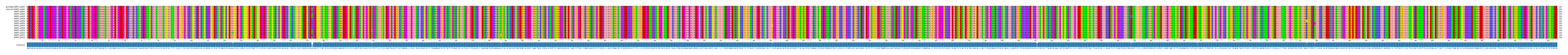 Multiple Alignments (by translate haplotype frequency)
