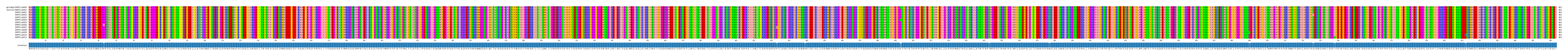 Multiple Alignments (by translate haplotype frequency)