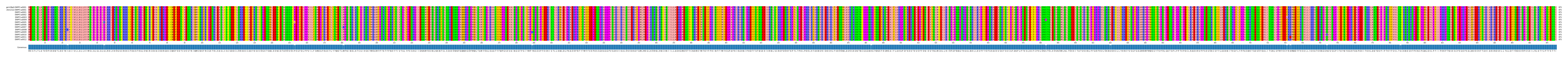 Multiple Alignments (by translate haplotype frequency)