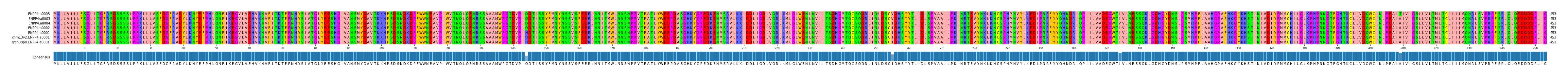 Multiple Alignments (by translate haplotype similarity)