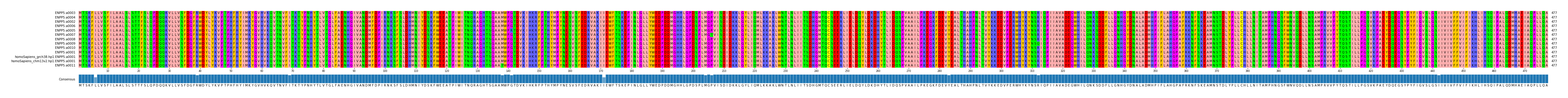 Multiple Alignments (by translate haplotype similarity)