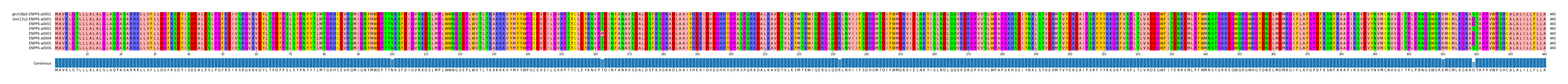 Multiple Alignments (by translate haplotype frequency)
