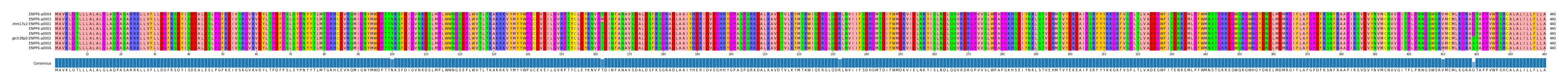 Multiple Alignments (by translate haplotype similarity)