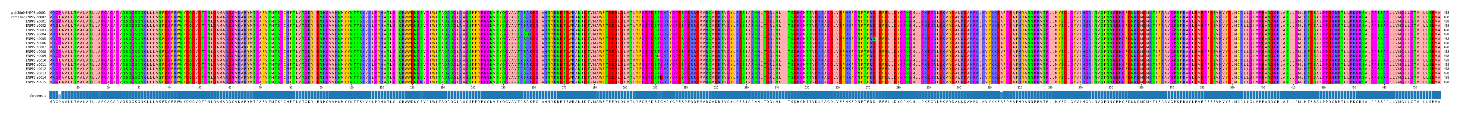 Multiple Alignments (by translate haplotype frequency)