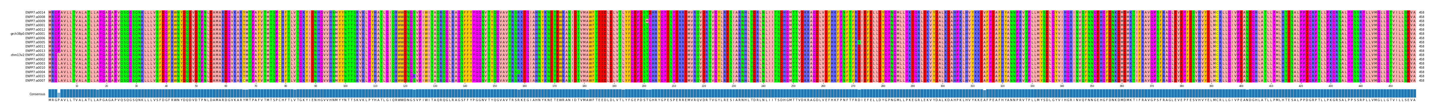 Multiple Alignments (by translate haplotype similarity)