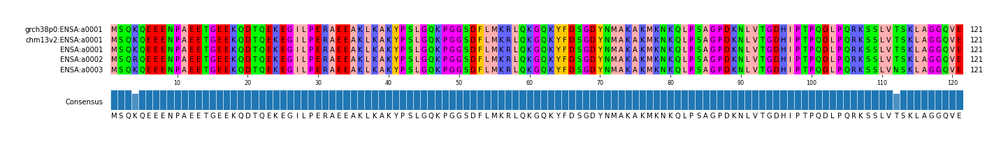 Multiple Alignments (by translate haplotype frequency)