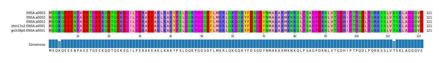 Multiple Alignments (by translate haplotype similarity)