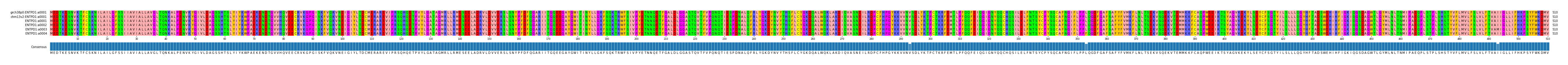 Multiple Alignments (by translate haplotype frequency)